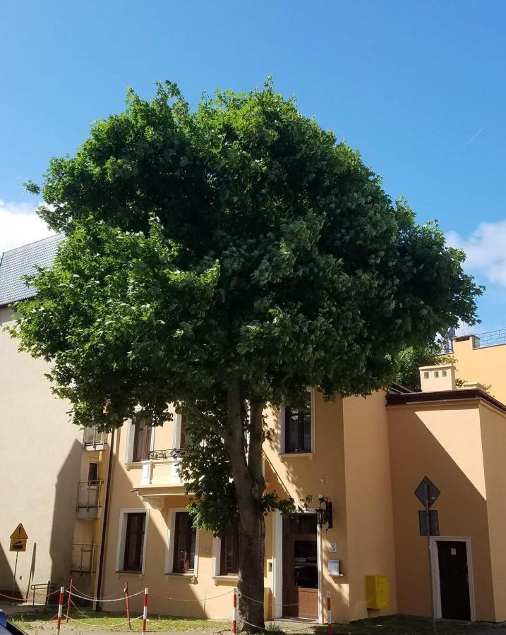 Apartamenty Na Cichej 5 A4 Kolobrzeg Bagian luar foto